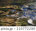 川面に映る秋のいろどり 川面に映る秋のいろどり 110772280