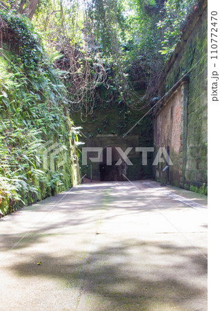 猿島（東京湾最大の自然島） 110772470