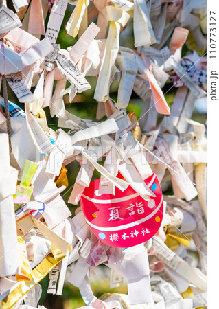 千葉県 櫻木神社のおみくじ 千葉県 櫻木神社のおみくじ 110773127