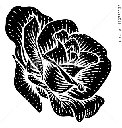 Rose Flower Design Woodcut Vintage Retro Style 110773135