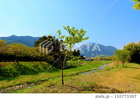 山と川のある風景　春の田舎 110773307