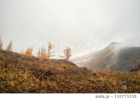 Snow clouds float over the autumn wooded mountain valley. Snow clouds float over the autumn wooded mountain valley. 110773338