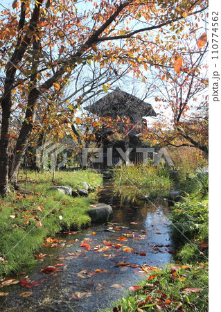 京都 渉成園 傍花閣と紅葉 京都 渉成園 傍花閣と紅葉 110774562