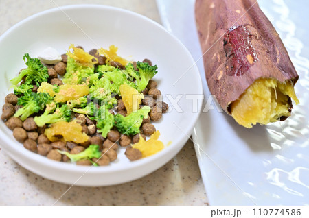 ドッグフードに野菜をトッピング ドッグフードに野菜をトッピング 110774586