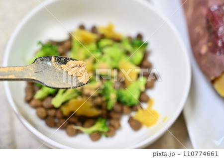 ドッグフードに野菜やサプリをトッピングする飼い主 110774661
