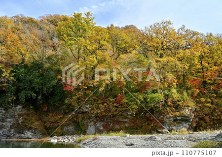 長瀞岩畳南端付近の岩場と荒川の流れに紅葉の渓谷 長瀞岩畳南端付近の岩場と荒川の流れに紅葉の渓谷 110775107