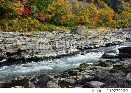 長瀞岩畳南端付近の岩場と荒川の流れ（急流）に紅葉の渓谷 110775136