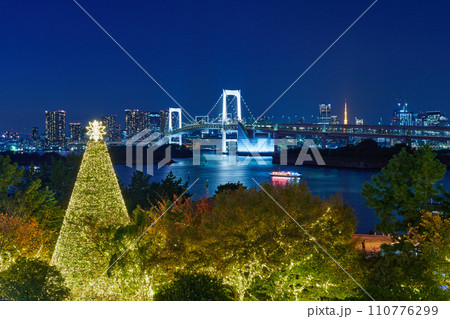 東京湾夜景　レインボーブリッジ 110776299