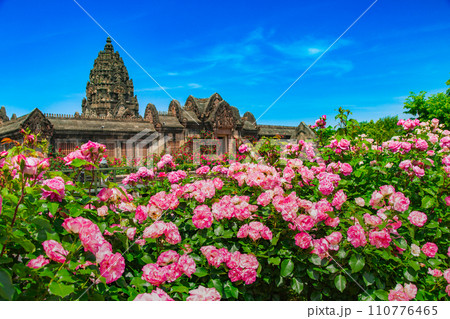 レオマワールド　バラの祭典　中四国最大級 110776465