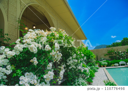 レオマワールド　バラの祭典　中四国最大級 110776498