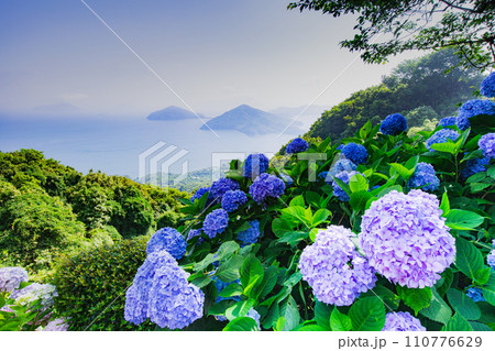 香川県内有数の紫陽花の名所　紫雲出山 110776629