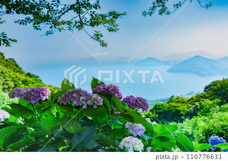 香川県内有数の紫陽花の名所　紫雲出山 110776631