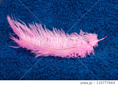 Washing color feather on the blue cloth texture Washing color feather on the blue cloth texture 110777669