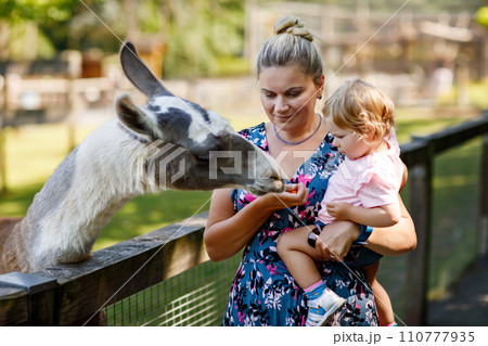 Adorable cute toddler girl and young mother feeding little goats and sheeps on kids farm. Beautiful baby child petting animals in petting zoo. Woman and daughter together on family weekend vacations 110777935