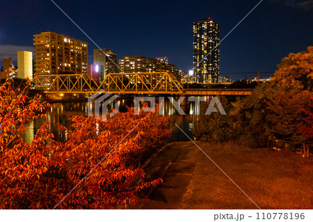 夜の桜ノ宮 110778196