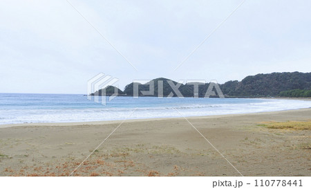 砂浜と青い海（静岡県下賀茂郡南伊豆町弓ヶ浜） 110778441
