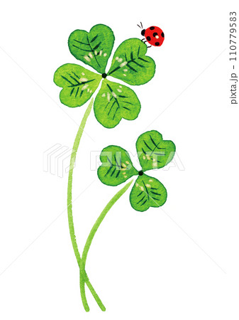 四葉のクローバーとてんとう虫の水彩イラスト 四葉のクローバーとてんとう虫の水彩イラスト 110779583