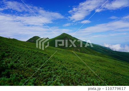 羅臼岳登山道からの三ツ峰 110779617