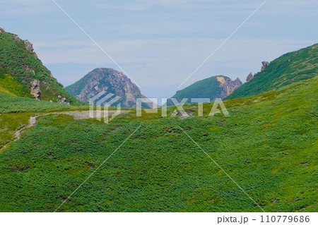 羅臼岳登山道からの知床硫黄山 110779686