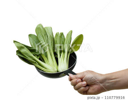 Kale fly in mid air, green fresh vegetable chinese kale falling. Organic fresh vegetable with eaten leaf of chinese kale, heap close up texture. White background isolated freeze motion Kale fly in mid air, green fresh vegetable chinese kale falling. Organic fresh vegetable with eaten leaf of chinese kale, heap close up texture. White background isolated freeze motion 110779916