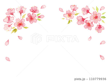 桜の花の水彩イラスト 110779936