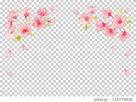 桜の花の水彩イラスト 110779936