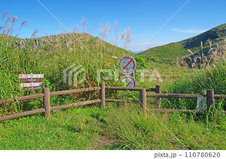 福岡県北九州市のススキが群生するカルスト台地平尾台 110780620