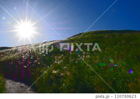 福岡県北九州市のススキが群生するカルスト台地平尾台 福岡県北九州市のススキが群生するカルスト台地平尾台 110780623