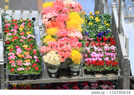 花き市場で出荷される花　季節の花 110780638