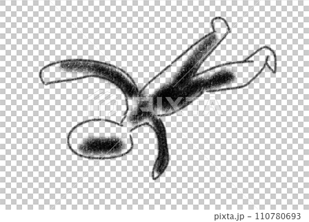 事件現場の捜索 110780693