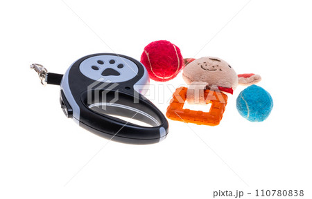 dog toys isolated 110780838