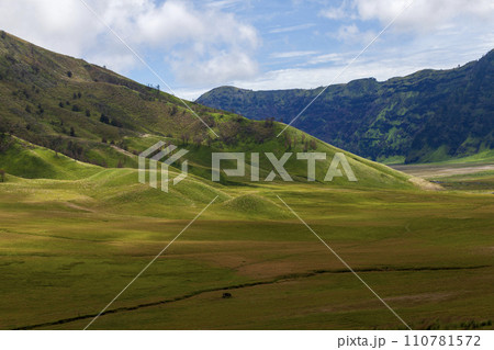 Landscape of green hills in the mountains on a cloudy day. Location of Mount Bromo in Bromo Tengger Semeru National Park, East Java, Indonesia 110781572