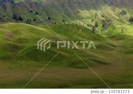 Landscape of green hills in the mountains on a cloudy day. Location of Mount Bromo in Bromo Tengger Semeru National Park, East Java, Indonesia 110781573