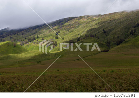 Landscape of green hills in the mountains on a cloudy day. Location of Mount Bromo in Bromo Tengger Semeru National Park, East Java, Indonesia Landscape of green hills in the mountains on a cloudy day. Location of Mount Bromo in Bromo Tengger Semeru National Park, East Java, Indonesia 110781591