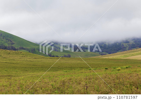 Landscape of green hills in the mountains on a cloudy day. Location of Mount Bromo in Bromo Tengger Semeru National Park, East Java, Indonesia 110781597