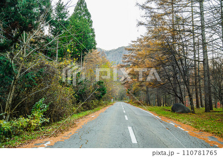 巣栗渓谷へ続く道 110781765