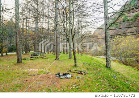 秋の巣栗渓谷　キャンプ跡 110781772