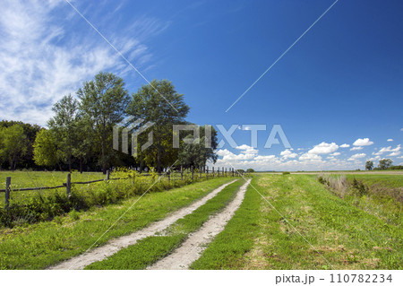 dirt road through green meadow and blue sky 110782234