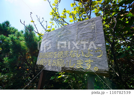 雄阿寒岳七合目の標識 雄阿寒岳七合目の標識 110782539