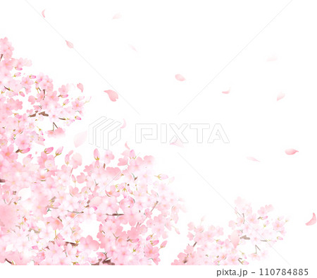 美しい薄いピンク色の桜の花と花びら春の水彩白バックフレーム背景素材イラスト 美しい薄いピンク色の桜の花と花びら春の水彩白バックフレーム背景素材イラスト 110784885