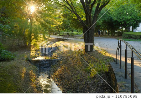 くさぶえのみちの小川 110785098