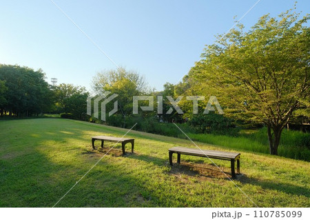 港北ニュータウンの緑道公園 港北ニュータウンの緑道公園 110785099