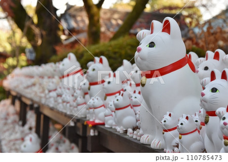 豪徳寺の招き猫 東京 豪徳寺の招き猫 東京 110785473