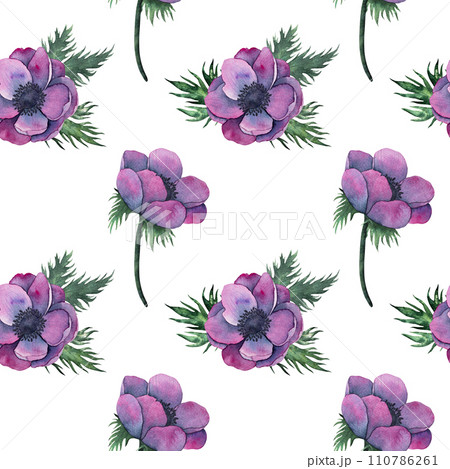 anemone flowers bouquet in Bright purple colors. Hand drawn Watercolor floral illustration isolated on on white. Botanical art for wedding anniversary, birthday, invitations 110786261