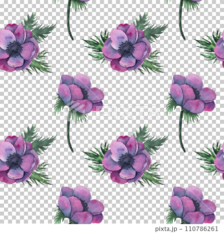 anemone flowers bouquet in Bright purple colors. Hand drawn Watercolor floral illustration isolated on on white. Botanical art for wedding anniversary, birthday, invitations anemone flowers bouquet in Bright purple colors. Hand drawn Watercolor floral illustration isolated on on white. Botanical art for wedding anniversary, birthday, invitations 110786261