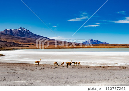 Bolivian mountain landscape 110787261