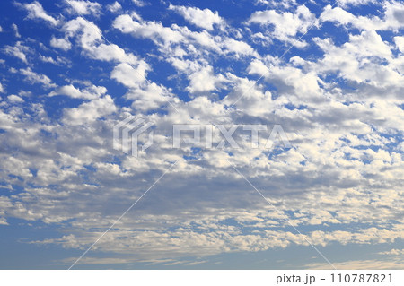 夕陽に照らされた高積雲(ひつじ雲) 夕陽に照らされた高積雲(ひつじ雲) 110787821