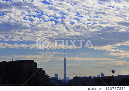 夕陽に照らされた高積雲(ひつじ雲) 夕陽に照らされた高積雲(ひつじ雲) 110787822
