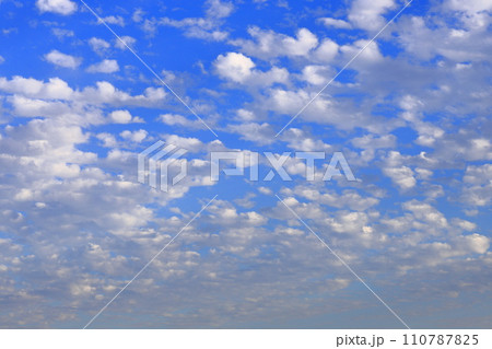 夕陽に照らされた高積雲(ひつじ雲) 夕陽に照らされた高積雲(ひつじ雲) 110787825