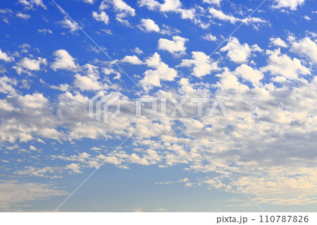 夕陽に照らされた高積雲(ひつじ雲) 夕陽に照らされた高積雲(ひつじ雲) 110787826